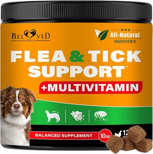 The Best Flea and Tick Prevention for Dogs & Cats in the U.S. (Vet-Recommended)