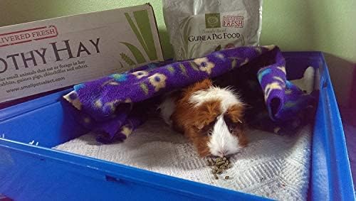 Small Pet Select Guinea Pig Food Pellets, 20 Lb.