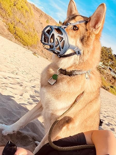 Mayerzon Dog Muzzle, Breathable Basket Muzzles for Small, Medium, Large and X-Large Aggressive Dogs Beagle German Shepherd Doberman, Cage Mouth Guard Stop Biting Chewing for Grooming Training