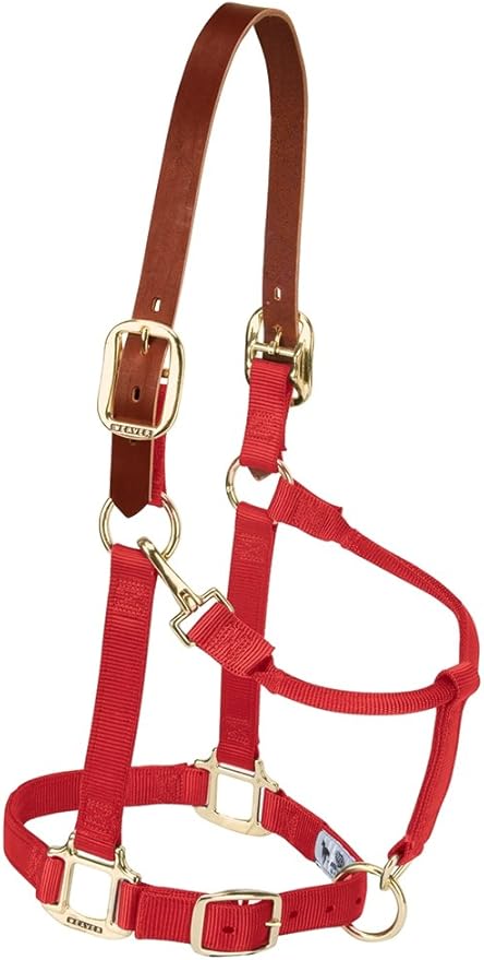 Weaver Equine Breakaway Horse Halter, Supple Leather Crown, Adjustable Chin & Throat Snap Halters for Horses, Equine Tack