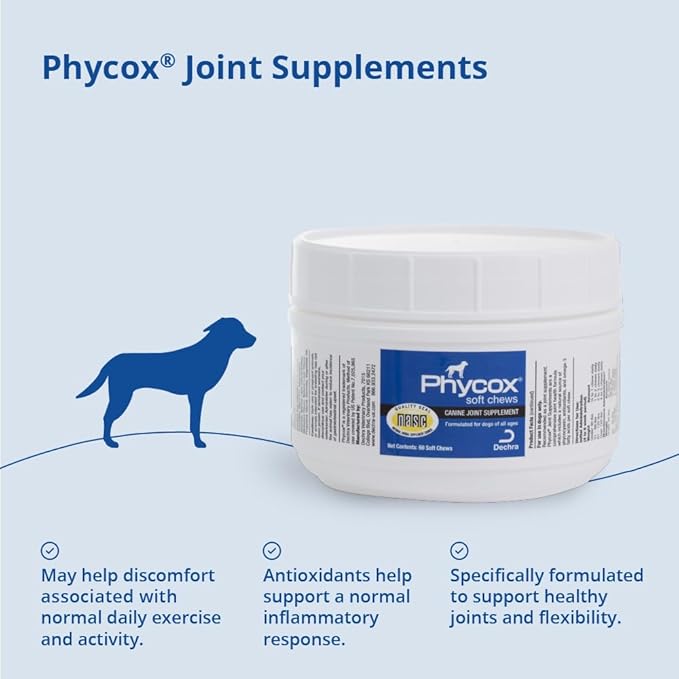 Canine Joint Support, 60 Soft Chews