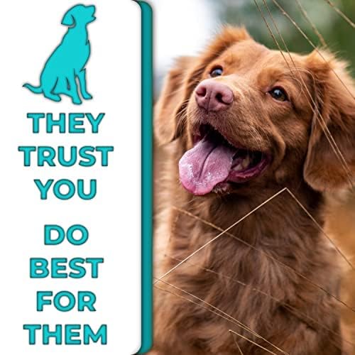 H&H Pets 2-in-1 Grooming Brush for Dogs & Cats - Pin Slicker and Bristle Brush Combo, Perfect for Pet Hair Grooming