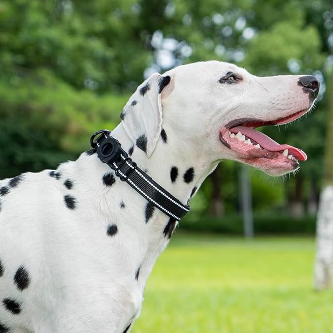 JSXD AirTag Dog Collar, Night Reflective Nylon Dog Collar for Small Medium Large Dogs,Lockable Quick Release Buckle,Padded Breathable Pet Collar with AirTag Holder (Black, Medium)