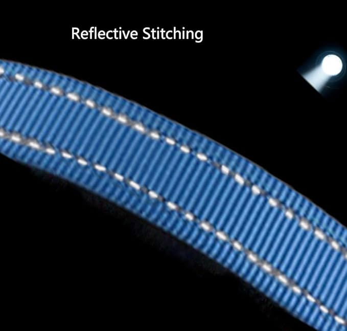 Hands Free Dog Leash for Large Medium Dogs Heavy Duty Bungee Reflective Adjustable Waist Leashes for Walking Running with Car Buckle 4-6FT (Blue)