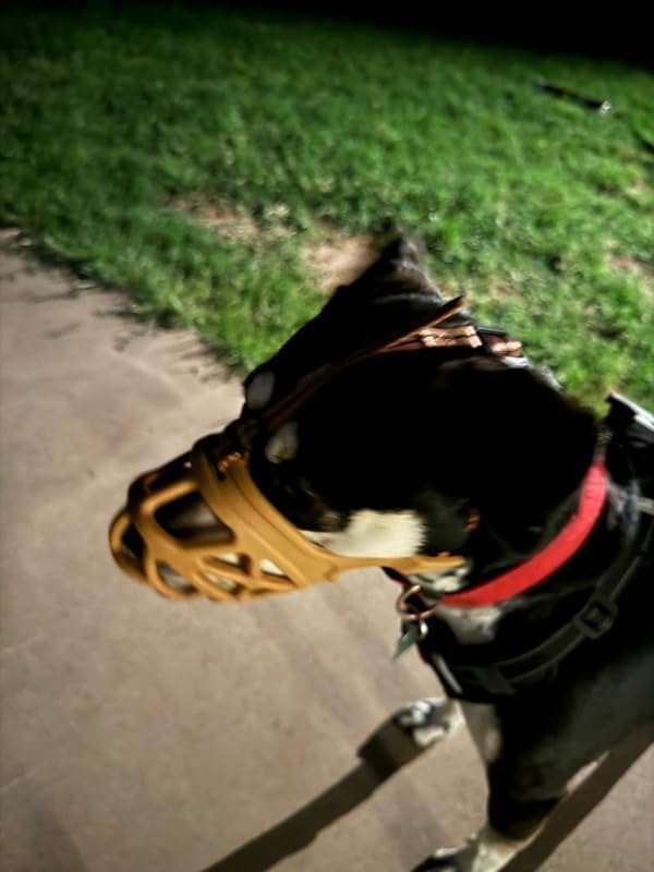 Mayerzon Dog Muzzle, Breathable Basket Muzzles for Small, Medium, Large and X-Large Aggressive Dogs Beagle German Shepherd Doberman, Cage Mouth Guard Stop Biting Chewing for Grooming Training