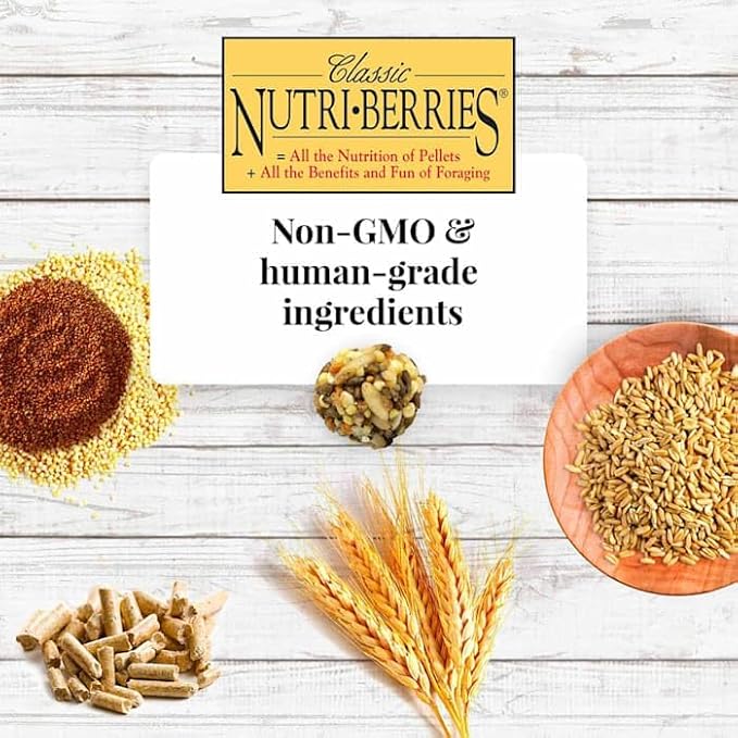 LAFEBER'S Classic Nutri-Berries Pet Bird Food, Made with Non-GMO and Human-Grade Ingredients, for Cockatiels (4 lb)