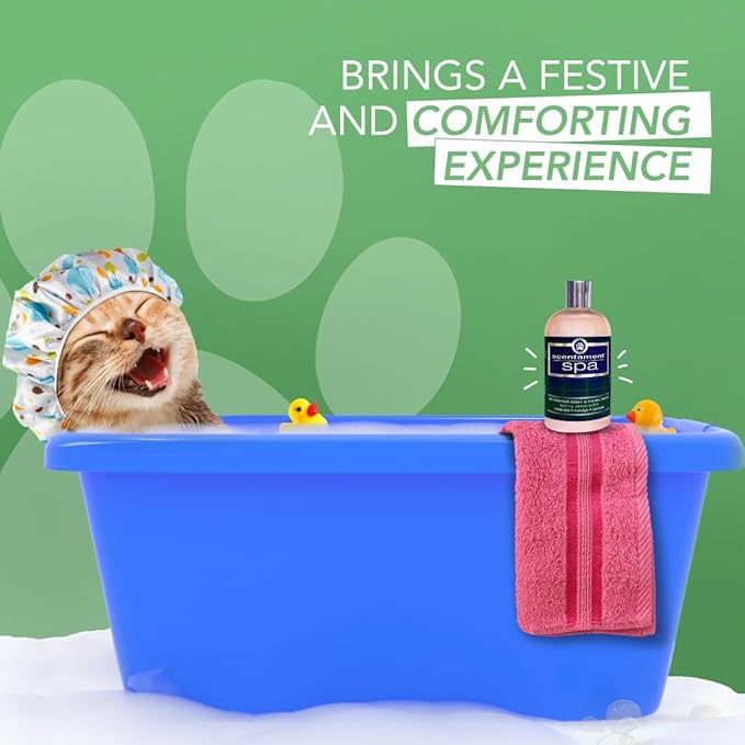 Scentament Spa Seasonal Facial & Body Wash, Berry Amaretto, 16 oz (S55-16oz)