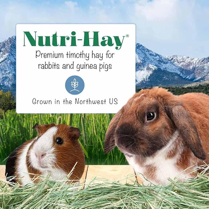 LAFEBER'S Nutri-Hay Box for Rabbits and Guinea Pigs 40 oz