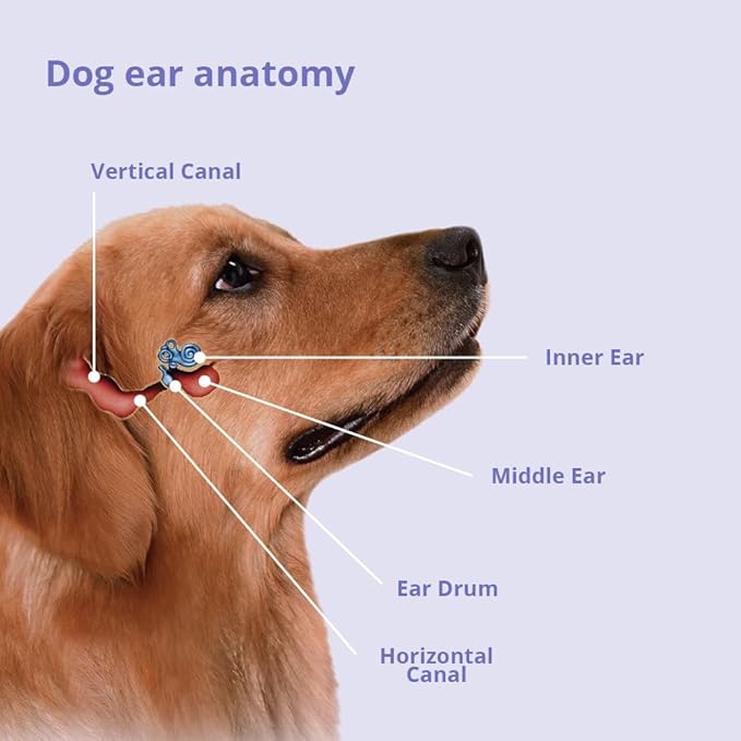 Plus TrizEDTA Flush, 12 oz