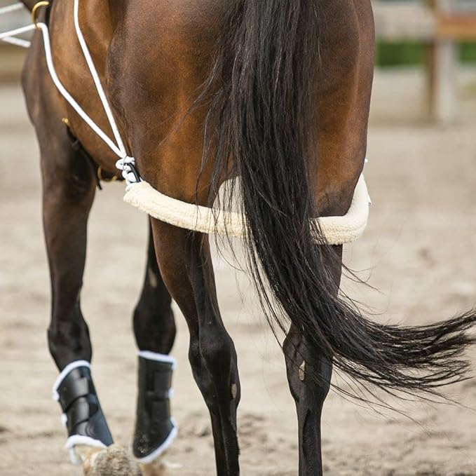 Advanced European Training System | Advanced Training Tool | Enhances Horse Carriage and Headset | Encourages Forward Movement | Strengthens Key Muscles | Not for Beginners