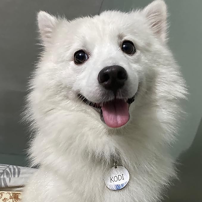 316 Surgical Grade Stainless Steel Personalized Dog & Cat ID Tags - Made with Three Thousand Love for Our Fur-Baby - Original Funny Shapes Bat, Engraved Name or Text for Pet Collar Accessories