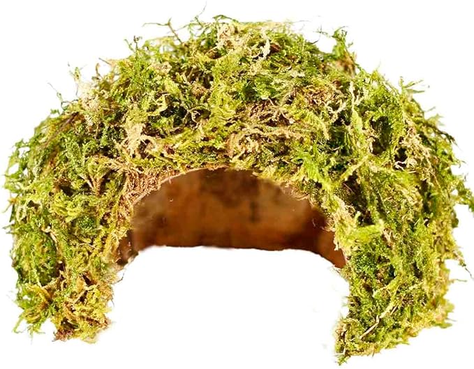 Coconut Hamster Hideout Hamster House Gerbil Cage for Small Animals with a Bundle of Apple Sticks a Carrot (Green)