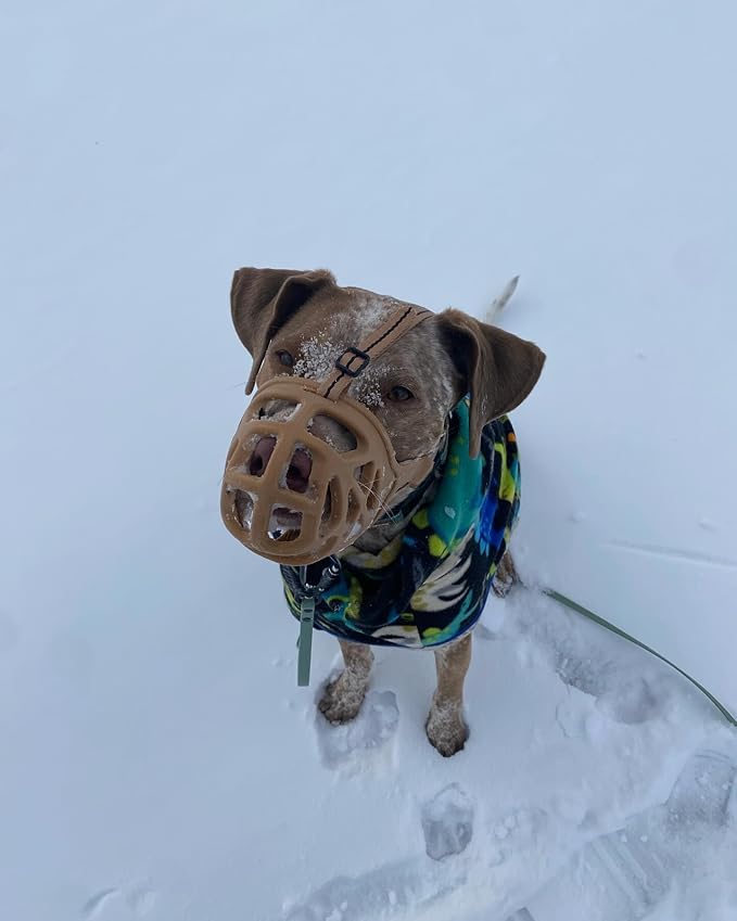 Mayerzon Dog Muzzle, Breathable Basket Muzzles for Small, Medium, Large and X-Large Aggressive Dogs Beagle German Shepherd Doberman, Cage Mouth Guard Stop Biting Chewing for Grooming Training