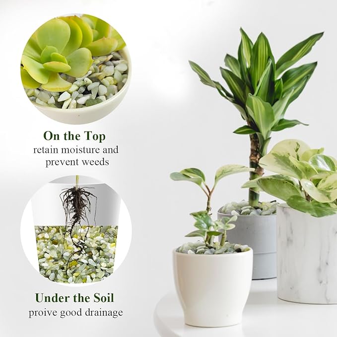 5 lbs Jade Pebbles for Indoor Plants,1/4 inch Polished Gravel Rocks for Plants, Succulents, Cactus, Vases, Terrarium and Outdoor Gardening