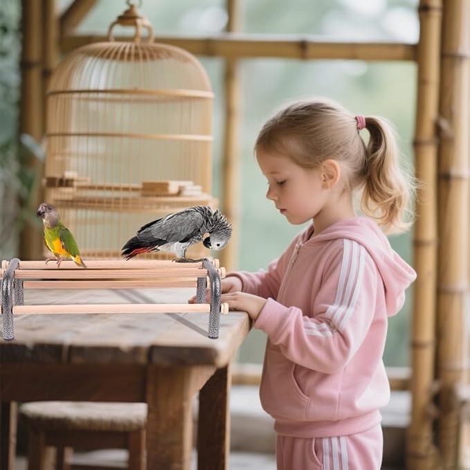 Large Bird Training Perch Long Stand for African Grey Macaw Big Birds, Rustproof Metal Durable Heavy Duty Metal Frame with 4 Wooden Bars for Bird to Play Climb and Exercise Toy