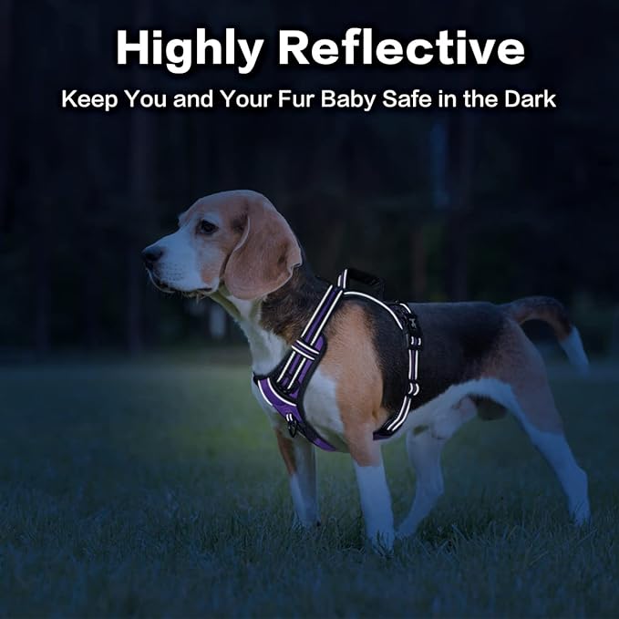 PoyPet No Pull Dog Harness, No Choke Front Clip Reflective Dog Vest with Soft Padded Vertical Handle, 3 Leash Attachments for Small Medium Large Dogs (Purple,S)