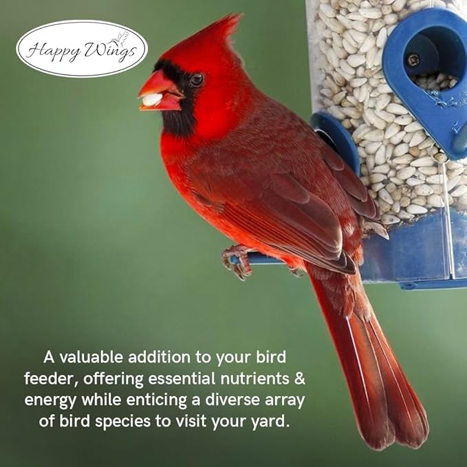 Sunflower Hearts & Chips - Sunflower Kernels and Chips Bird Food - 5 Lb No Mess, No Waste I No Grow Seed | Bird Seed for Wild Birds