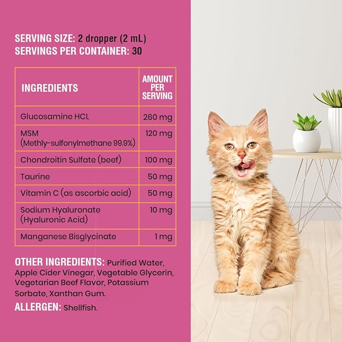 Special Breed Cat Joint Supplement, Liquid Glucosamine with Chondroitin for Cats, Feline Hip and Joint Pain Relief, 2 oz