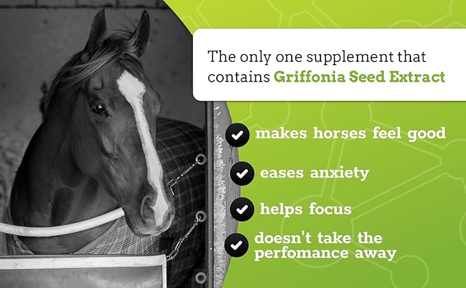 SynChill Oral Horse Calming Gel, 100% Natural & Nutritional Supplement, Lab Proven Results, Designed for Focus & Performance, Approved by Olympic Professionals & Veterinarians, Made in USA - 1 Pack