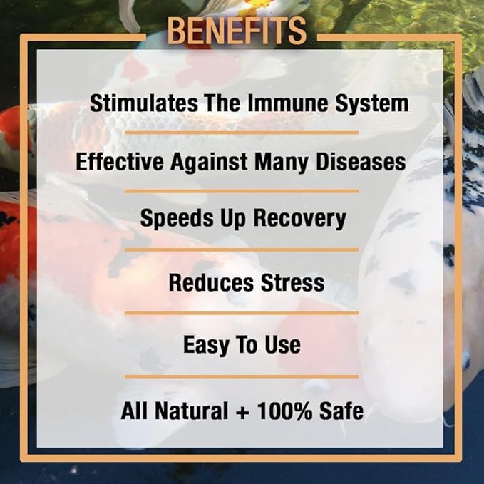 MICROBE-LIFT Sabbactisun Disease Treatment for Ponds and Outdoor Water Gardens, Disease Expellant for Pond Fish, 32 Fl Oz