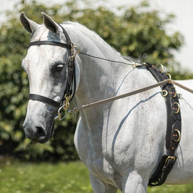 Dura-Tech Brown Cotton Web Long Lines | Ideal for Youngsters and Green Horses | for Beneficial Ground Training | Usable with Saddle or Surcingle | Heavy-Duty Cotton Web