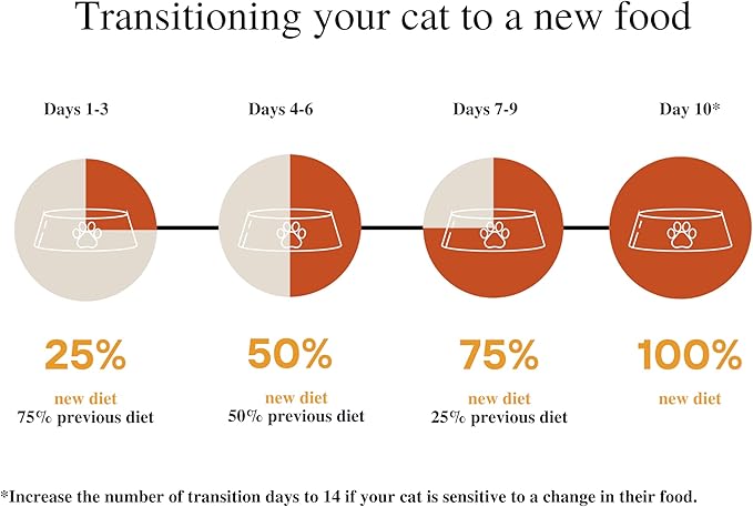 Amazon Brand - Wonder Bound Wet Cat Food, Paté, No Added Grain, 3 oz cans, Pack of 24 (Beef)