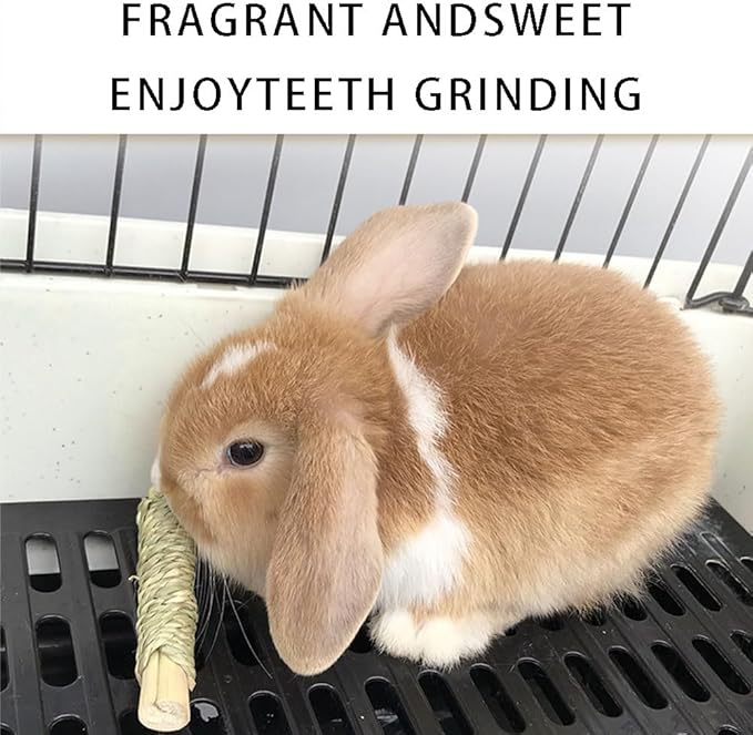 Rabbit Toys 30Pcs 3 Flavours for Teeth Grinding - Chew Toys for Hamsters, Guinea Pigs, Chinchillas