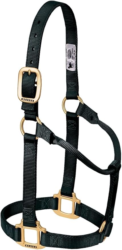 Weaver Equine Nylon Horse Halter, Triple-Ply Cheek Design, Original Non Adjustable Halters for Horses, Equine Tack,Average Size, Black