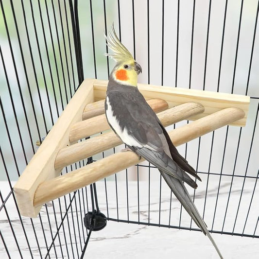 Litewoo Bird Perch Corner Platform Stand Shelf for Birds Budgie Parakeet Cockatiel Conure Cockatoo(Ladder)