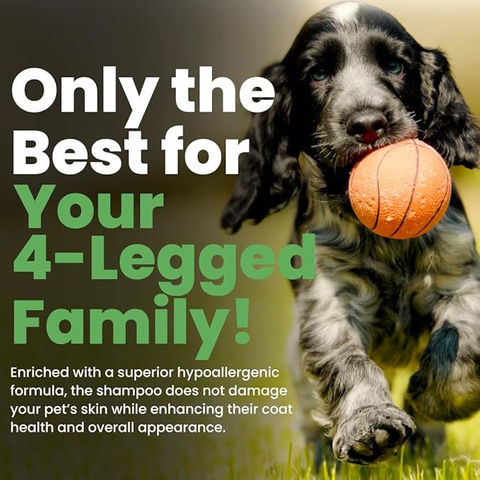 Best Shot Scentament Spa Seasonal Facial & Body Wash, Exotic Island, 16 oz