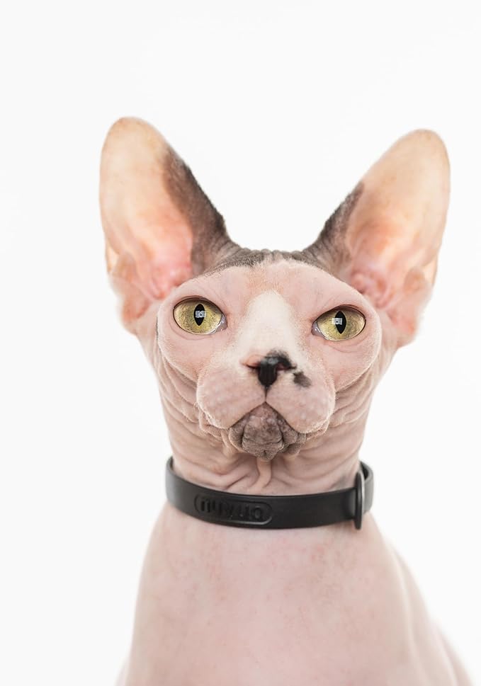 Silicone Cat Collars 2 Pack - Soft, Comfortable, and Lightweight Safety Breakaway Collar with Name Tag Ring for Outdoor Cats and Sensitive Skin Kittens by Nuvuq (6 ⅞" to 10 ¼", Black)