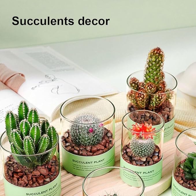 HappyFiller Small Red River Rocks Decorative Pebbles Natural Aquarium Gravel Stones for Fish Turtle Tank,Soil Cover,Indoor Outdoor Garden Succulent Potted Plants Top Dressing,Zen Garden,2 LB