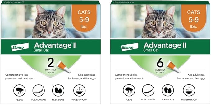 Advantage II Small Cat Vet-Recommended Flea Treatment & Prevention | Cats 5-9 lbs. | 8-Month Supply