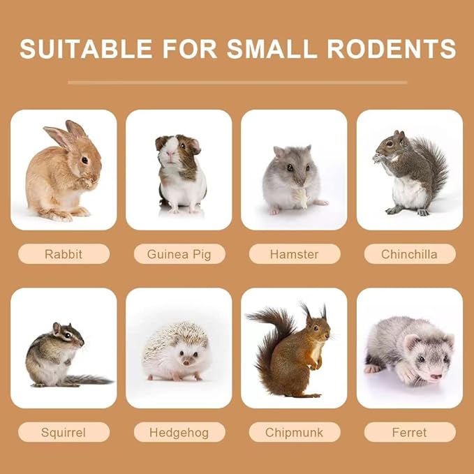 300g Guinea Pig & Rabbit Chew Toys with Apple & Timothy Sticks - Prevent Overgrown Teeth with Sweet Bamboo Treats - Ideal Rabbit Treats Included!