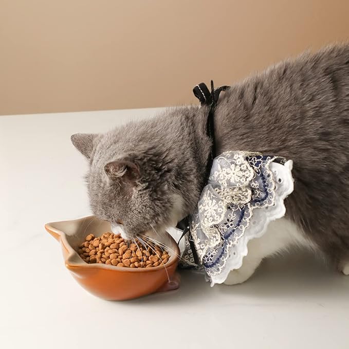 Nihow Ceramic Basic Cat Bowls: 5 Inch Cat Bowl for Food & Water - Food Grade Cat Dish for Small-Sized Cat - Microwave & Dishwasher Safe -Elegant Brown (4.25 OZ /1 PC)