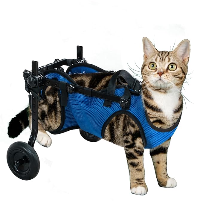 Pet Wheelchair for Leg Support Helps Senior, Wheelchair for Back Legs,Adjustable Pet Cart,Assist a paralyzed pet get Back on its feet,Support Leg Brace and Hip(Small)