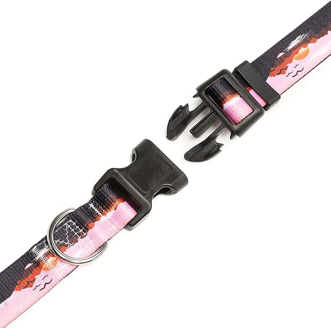 Mercano Adjustable Dog Collar - Special Design Patterns, Soft Nylon Comfortable Durable Pet Collar for Small Medium Large Dogs (XS, Sunset)