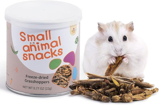Niteangel Small Animal Snack & Treats - Small Critter Natural Treat for Dwarf Syrian Hamsters Gerbils Mice Sugar Glider Hedgehogs Chickens Birds (Freeze-Dried Grasshopper)