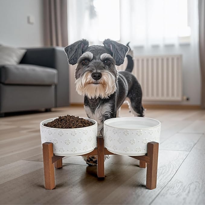 SPUNKYJUNKY Ceramic Dog Bowls Dog Bowl Set with Acacia Wood Stand Raised Dog Bowl Dog Food and Water Bowl for Small Medium Sized Dog (Deep, 15.5cm)