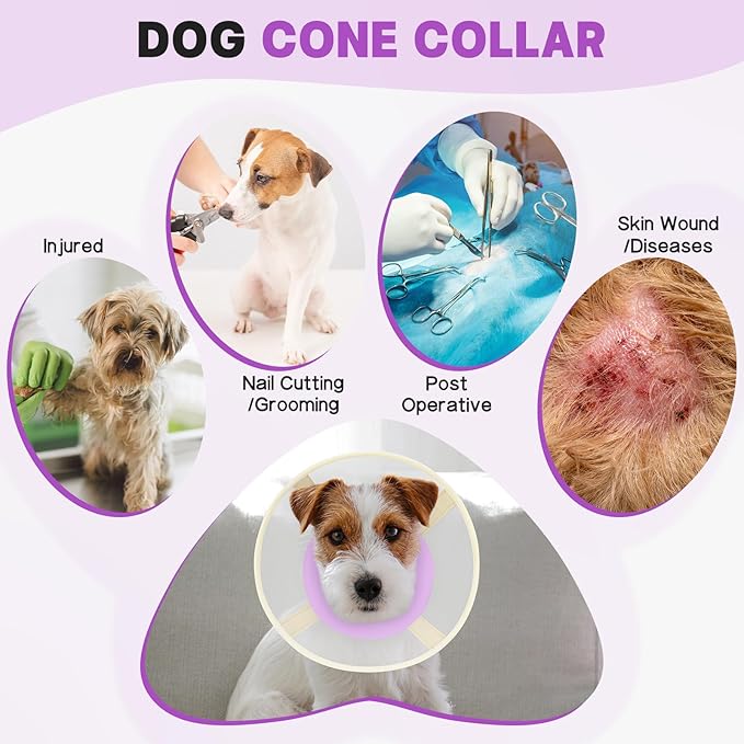 Soft Dog Cone Collar to Stop Licking-Adjustable Comfortable Mesh Recovery Collar After Surgery for Small Miniature Dogs, Alternative to Plastic Elizabethan Collars for Neuter Incision Care (Purple,M)