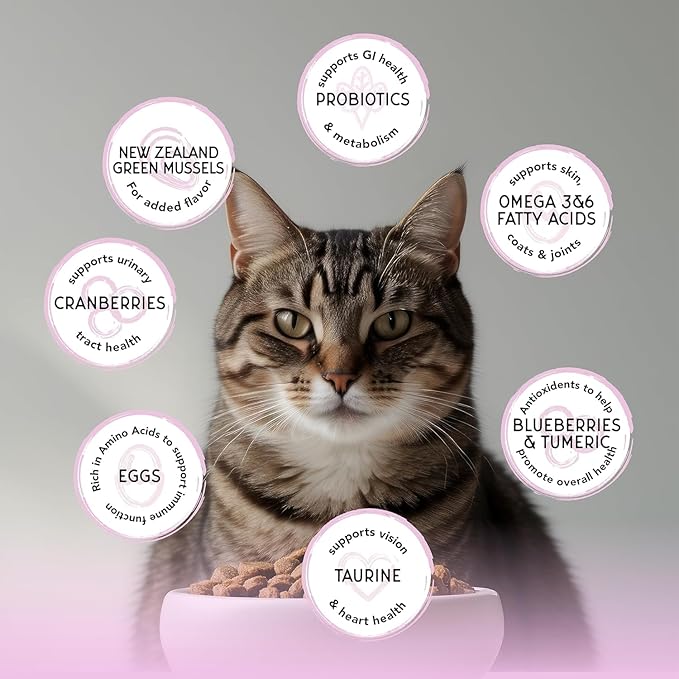 Blackwood Bounty Dry Cat Food, Red Meat Recipe for All Life Stages, 10 Pound Bag, High Protein, Grain Free