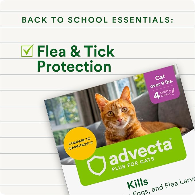 Plus Flea Prevention For Cats, Cat and Kitten Treatment & Control, Small and Large, Fast Acting Waterproof Topical Drops, 4 Month Supply