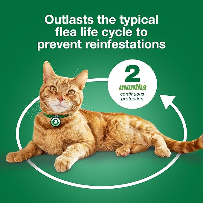 Advantage XD Small Cat Flea Prevention & Treatment For Cats 1.8-9lbs. | 4-Topical Doses, 2-Months of Protection Per Dose