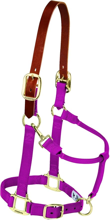 Weaver Equine Breakaway Horse Halter, Supple Leather Crown, Adjustable Chin & Throat Snap Halters for Horses, Equine Tack