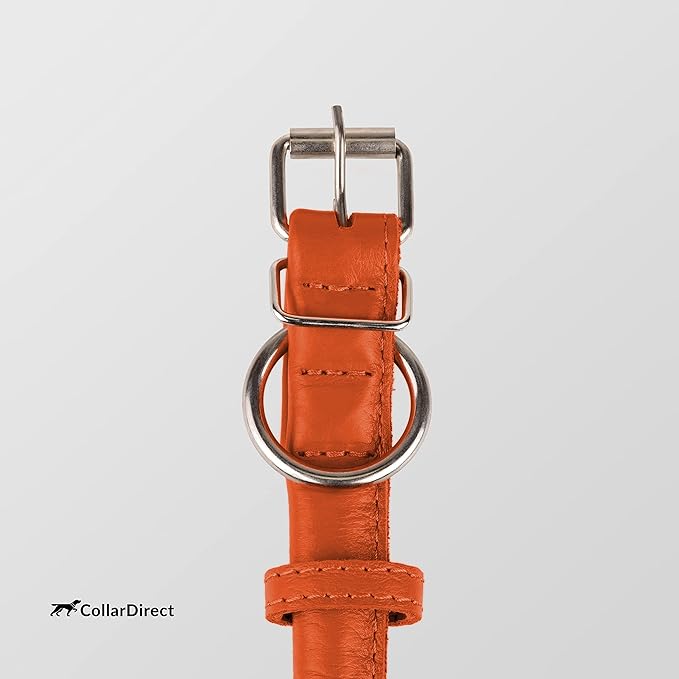 CollarDirect Rolled Leather Dog Collar, Soft Padded Round Puppy Collar, Handmade Genuine Leather Collar Dog Small Large Cat Collars 13 Colors (6 Inch, Orange Textured)