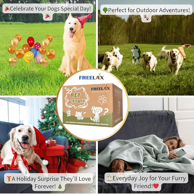 Durable Dog Chew Toys Gift Box β Eco-Friendly Teething Toys for Aggressive Chewers, Plush & Squeaky Toys, Toothbrush, Ideal Gift Basket for Medium & Large Dogs