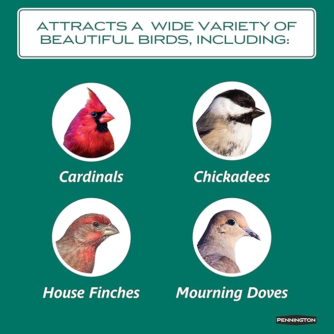 Pennington Select Safflower Seed 15 lb Bag