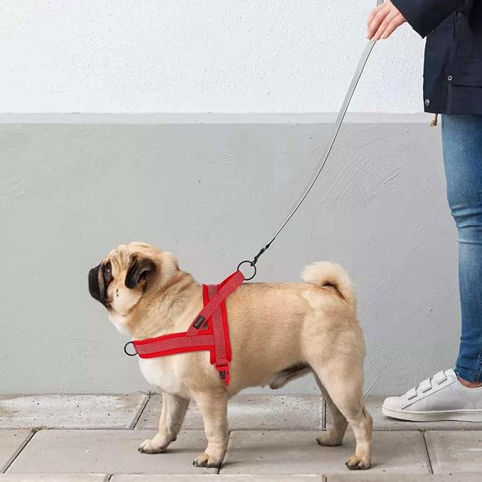 Didog No Pull Dog Harness with Breathable Mesh Padded, Full Reflective & Quick Fit Adjustable Vest Harness, Easy for Training Walking for Small & Medium and Large Dogs (Red, M:Chest 21-26")