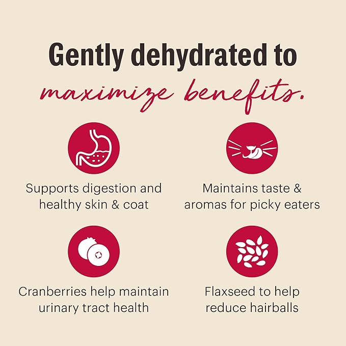 The Honest Kitchen Dehydrated Grain Free Turkey Cat Food, 2 lb Box