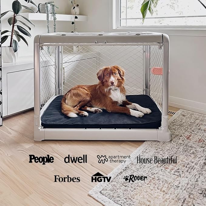DIGGS Revol Collapsible Dog Crate with Wheels - Premium Portable Dog Crate - Safe, Stylish, and Convenient Indoor Kennel (Ash, Intermediate)